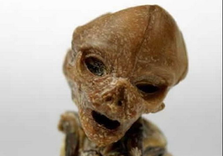 El supuesto nuevo bebé alienígena. Foto: Alternativa Democrática