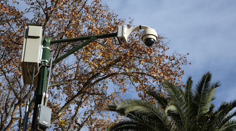 Foto: ALF PONCE MERCADO / MDZ