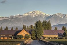 El vino que celebra el poder de las manos