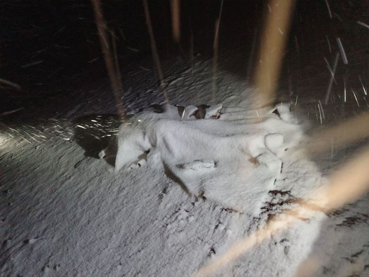 La turista argentina de 32 años que murió tras ser alcanzada por un rayo cuando visitaba Cusco fue identificada como Gabriela Diana Basallo. Foto: NA / Policía de Cusco