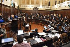 La Cámara de Diputados dio media sanción a la adhesión al RIMI.&nbsp;