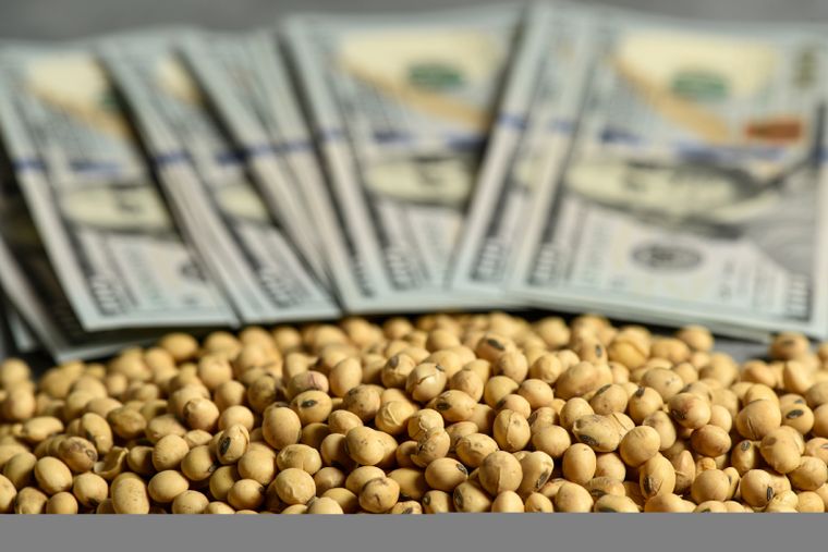 Los dólares de las exportaciones pueden generar una crisis. Foto: shutterstock