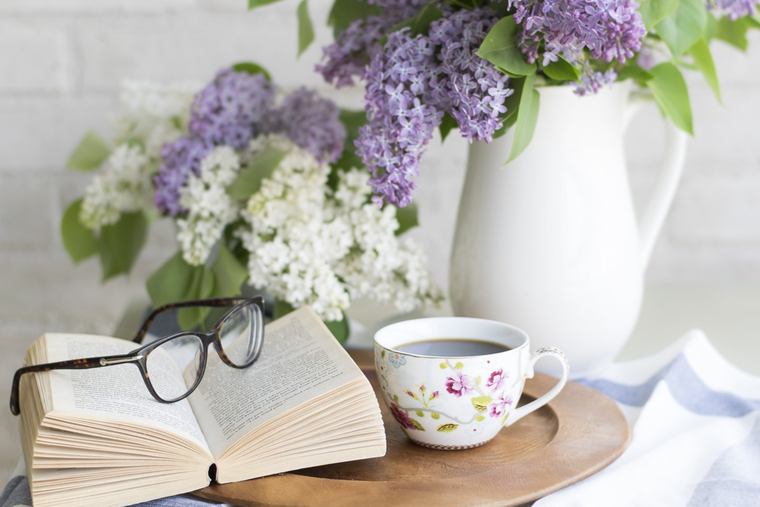 Estas son las flores que, según el Feng Shui, no debes tener en tu hogar. Foto: Pixabay - pixabay.com