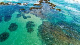 Porto de Galinhas combina mar cálido, piscinas naturales y clima templado en julio, aunque las lluvias y las mareas exigen planificar cada paseo sin improvisar. Porto de Galinhas combina mar cálido, piscinas naturales y clima templado en julio, aunque las lluvias y las mareas exigen planificar cada paseo sin improvisar.