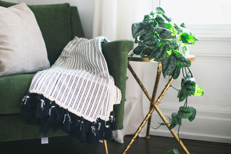 Este es el sistema de autorriego para cuidar la decoración de tu hogar con plantas. Foto: Pixabay - pixabay.com