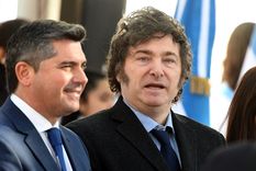 La imagen de Javier Milei se mantuvo estable según el trabajo de la Universidad de San Andrés. Foto: ALF PONCE MERCADO / MDZ