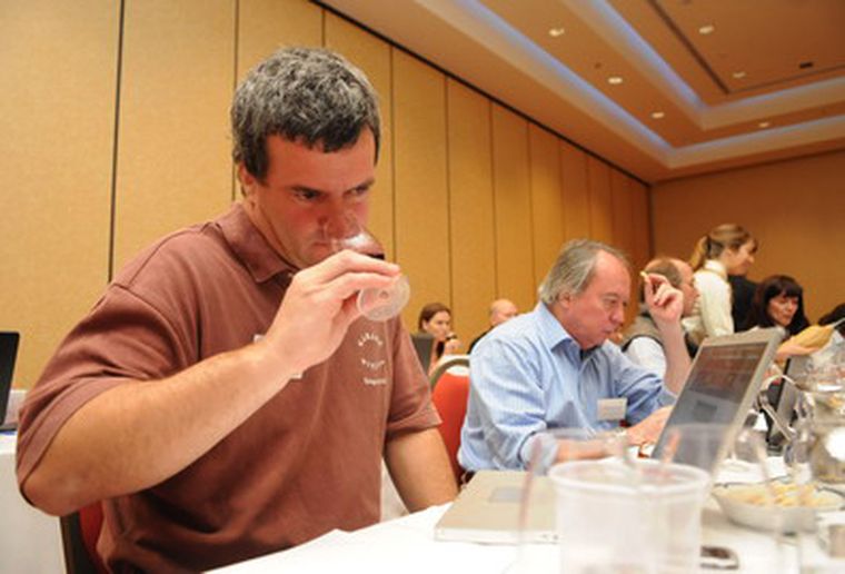 Con todos los sentidos atentos, los especialistas eligieron los mejores vinos. Foto: Marcelo Ruiz /MDZ