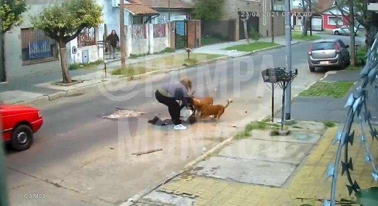 La mujer sufrió un feroz ataque en la localidad bonaerense de San Martín.
