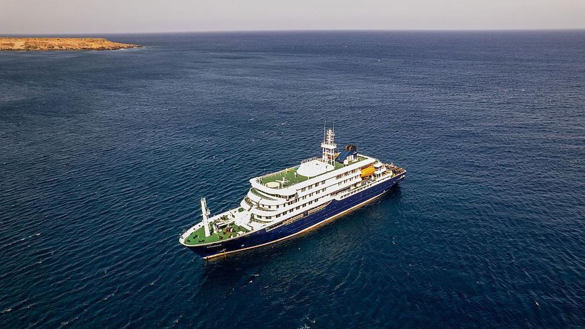 Qué es el hantavirus, la infección sospechosa de causar 3 muertes en un crucero que zarpó de Ushuaia (y cuán extendido está en Argentina)