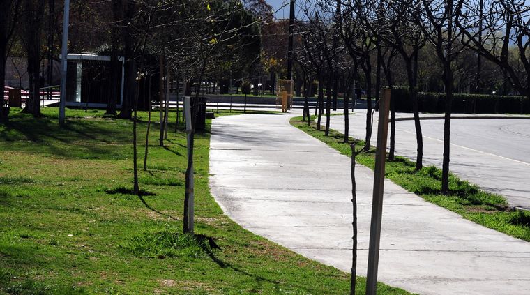 Foto: ALF PONCE MERCADO / MDZ