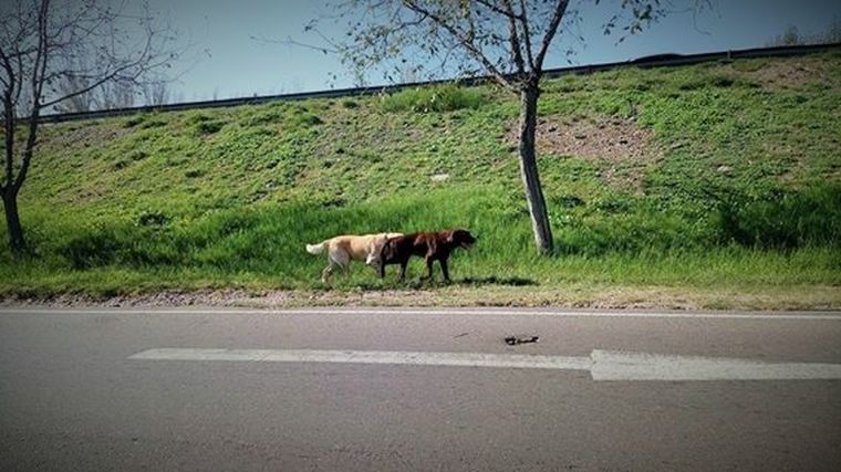 Foto: Facebook
