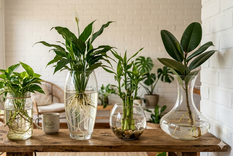 Ideal para ambientes pequeños. Fuente: IA Gemini.