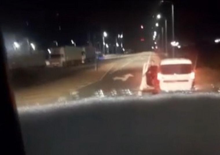obispo Enrique Eguía Seguí aceptó la dimisión y asumió interinamente las funciones eclesiásticas en la localidad del norte de Córdoba. Foto: Captura de video