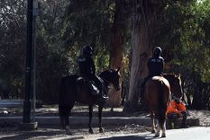 El hecho ocurrió en el Parque San Martín Foto: ALF PONCE MERCADO / MDZ