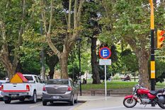 La plaza ubicada frente a la Municipalidad, donde se robaron hasta una estatua Foto: Federico Bruno
