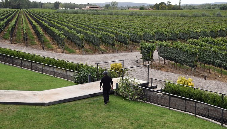 Desde ProMendoza se impulsa la llegada de inversión extranjera a la provincia, apalancadas en las garantías institucionales que ofrece la provincia. Foto: ALF PONCE MERCADO / MDZ