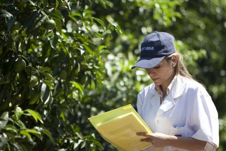Senasa exige a los productores a actualizar sus datos en el Renspa Senasa exige a los productores a actualizar sus datos en el Renspa