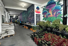 La droga se realizaba en una distribuidora de Boedo y se vendía a través de las redes sociales Foto: NA