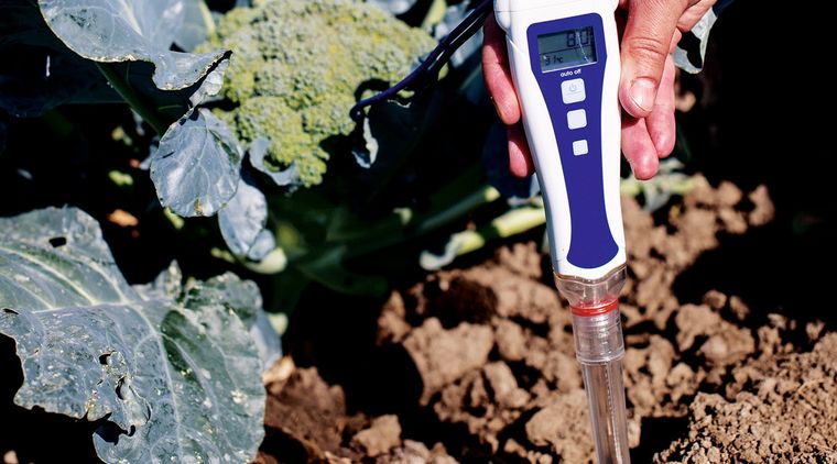 Comprobar el pH del suelo es importante a la hora de plantar un jardín perfumado. Foto: Future