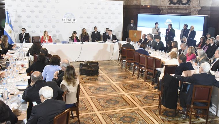 La jornada será similar a la del miércoles pasado, con idas y vueltas con los senadores. Foto: Juan Mateo Aberastain/MDZ