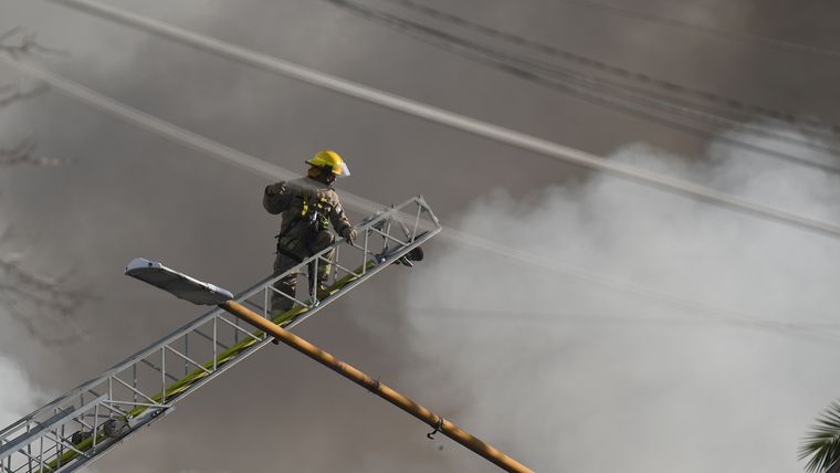 Foto: Rodrigo D'Angelo / MDZ Foto: Rodrigo D'Angelo / MDZ