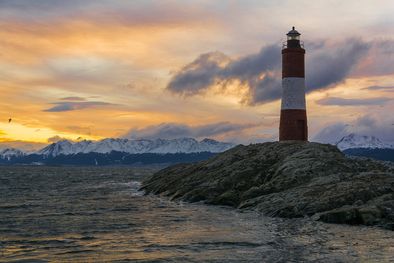 MDZol | 1005869.jpg