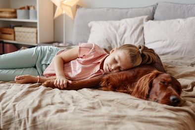MDZol | Dormir con nuestras mascotas nos da una gran dosis de felicidad Foto: SHUTTERSTOCK
