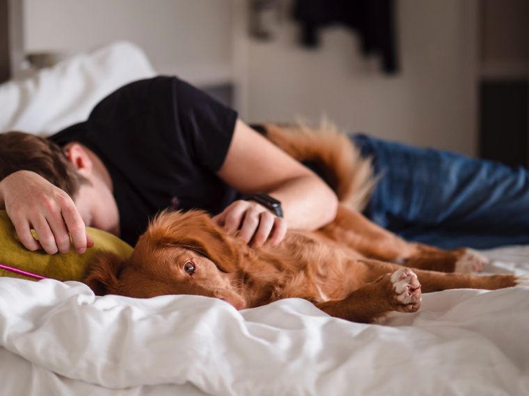 Mascotas Conoce algunos de los beneficios de dormir con perros Foto: Unsplash