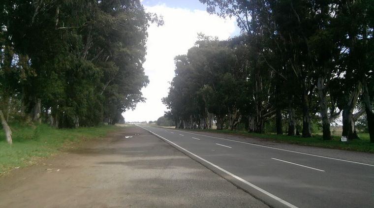 447805.jpg