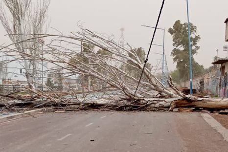 El pronóstico anticipa ráfagas que pueden superar los 100 km/h en el oeste y sur del país. El pronóstico anticipa ráfagas que pueden superar los 100 km/h en el oeste y sur del país.