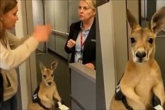 Viral: el video hecho con IA que recorrió el mundo. Foto: Archivo