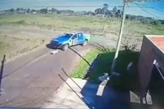 Los policías fueron denunciados por atropellar intencionalmente a un perro. Foto: ONG Proyecto 4 Patas