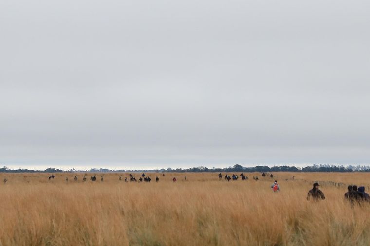 Inspeccionan un campo lindante con el de la abuela de Loan Foto: Imagen de archivo / Gentileza