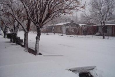 MDZol | En Alvear se acumularon unos 10 cm. de nieve. Foto: Pehuenche Digital