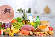Cuáles son los alimentos que no debes consumir si contraes dengue (Shutterstock). Foto: Archivo MDZ