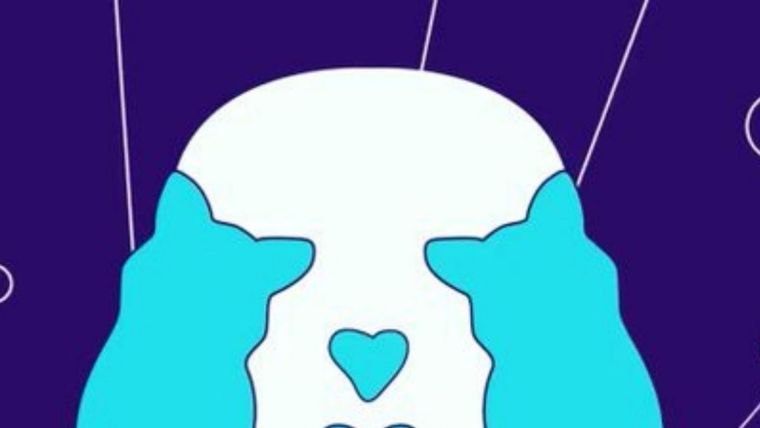 ACERTIJO VISUAL ACERTIJO VISUAL, RETO VISUAL, CISNE Foto: ARCHIVO