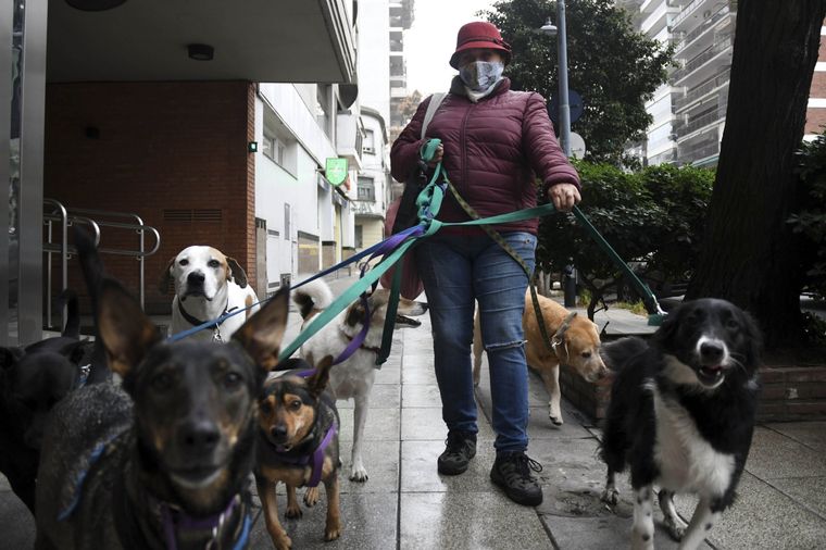 El lenguaje corporal de tu perro.