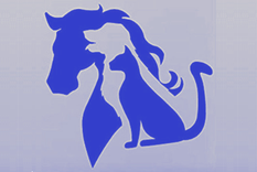 TEST DE PERSONALIDAD