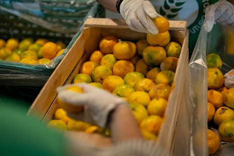 73 millones de kilos de alimentos terminaron fuera del circuito de consumo en la Argentina durante 2025.