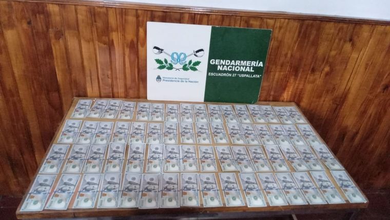 Los dólares quedaron en manos de la Justicia Federal Foto: Gendarmería Nacional