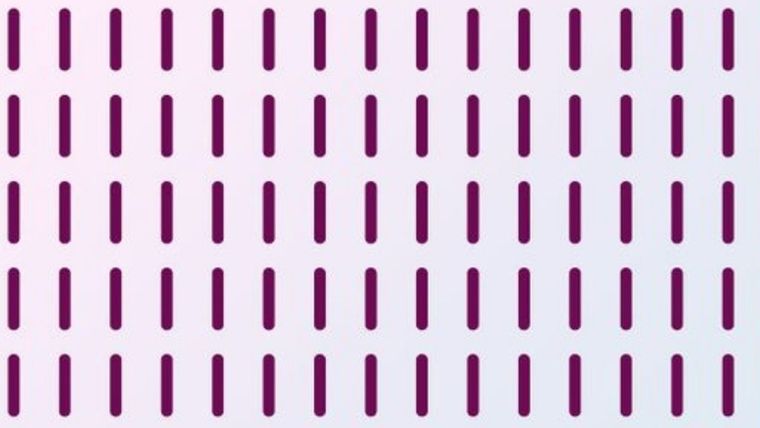 Este acertijo visual entretiene y entrena tu nivel de observación Foto: Archivo MDZ