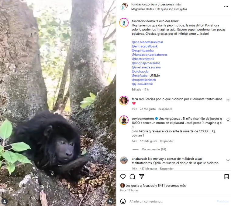 El sentido posteo de la Fundación Zorba, despidiendo a Coco. El sentido posteo de la Fundación Zorba, despidiendo a Coco.