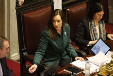 La vicepresidenta Victoria Villarruel envió un mensaje por las fiestas y aclaró su rol en el aumento de las dietas de los senadores. Foto: NA