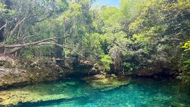 Reserva Ecológica Ojos Indígenas, un paraíso dentro de Punta Cana. Reserva Ecológica Ojos Indígenas, un paraíso dentro de Punta Cana.