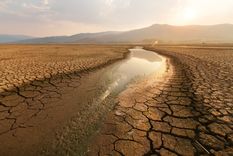 Foto: Shutterstock