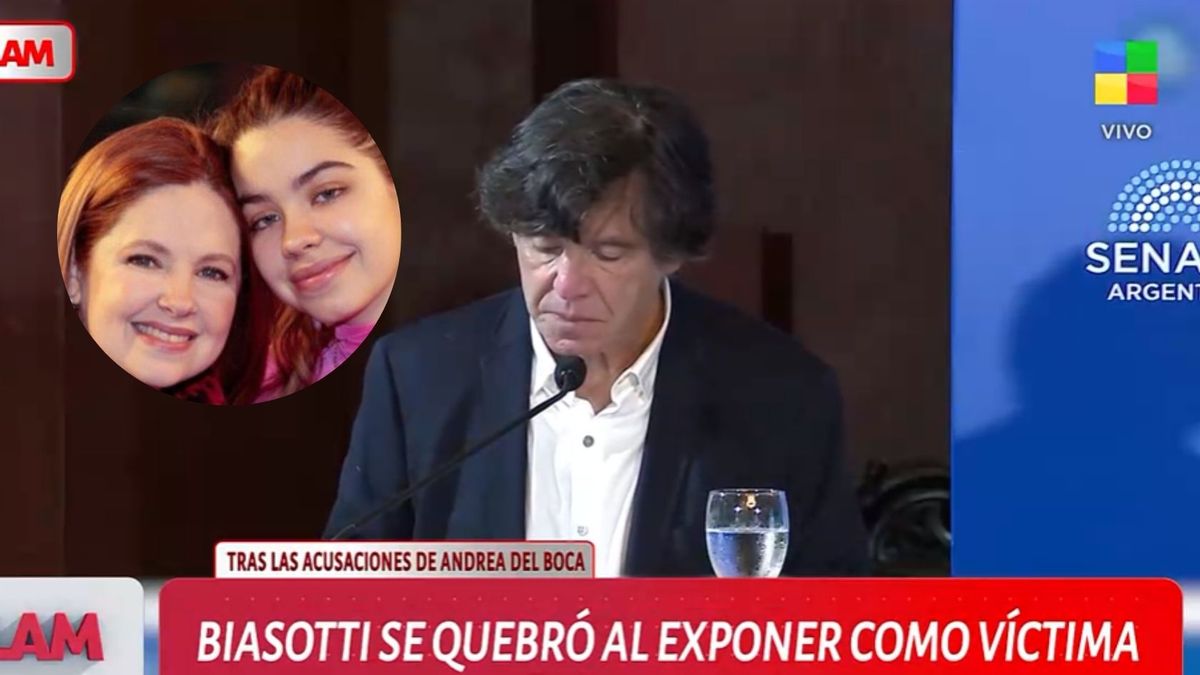 Tras el silencio, Ricardo Biasotti declaró en el Senado y se quebró al hablar de Andrea del Boca y su hija: 