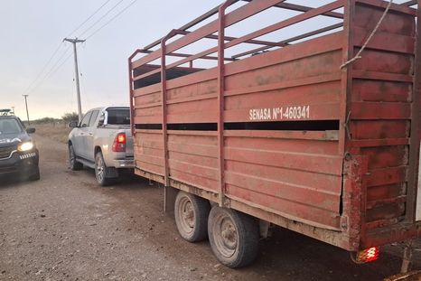 Los operativos fueron realizados por la Policia Rural en General Alvear y Maipú. Los operativos fueron realizados por la Policia Rural en General Alvear y Maipú.