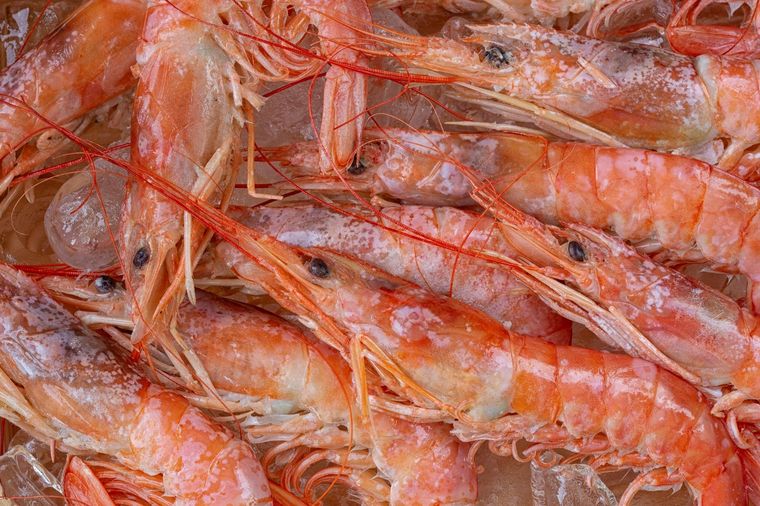 Toneladas de langostinos fueron desechadas por el conflicto gremial Foto: Shutterstock