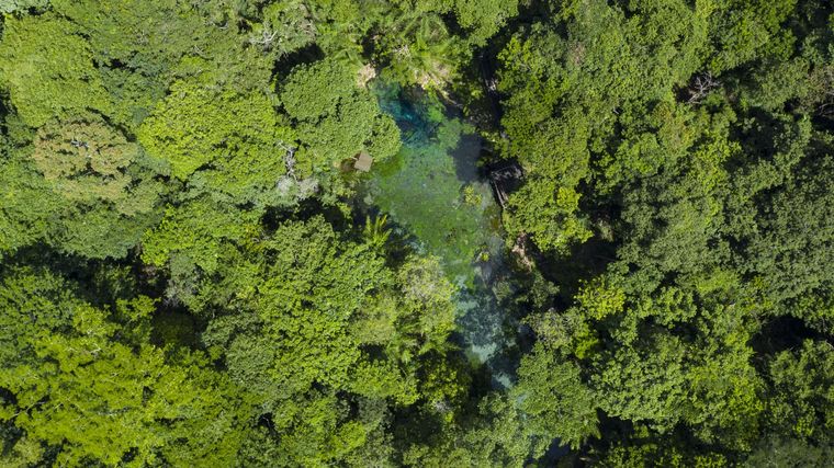 Este destino natural de Brasil es uno de los más espectaculares del país Foto: Flavio Andre