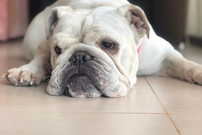 MDZol | Foto: Gentileza